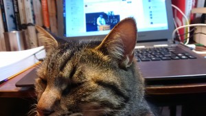 久々にフェイスブック開いたら友人の雷太さんも骨折中だった